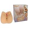 ��������� � ���� ASHTON MOORE UKRN 5803-01 BX DJ