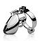 Металлическое кольцо верности Metal Worx Chastity Head Cage с фиксацией головки