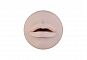 Мастурбатор FleshLight Girls Lisa Ann Swallow