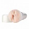 Мастурбатор Fleshlight Girls Katsuni
