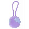 ��������� ����������� ����� DESIRE KEGEL BALL 