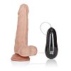 ������������ �������� Rotating 12-Function Emperor Dong � ��������� - 15,3 ��.
