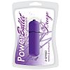 ���������� ��������� Breeze PowerBullet 