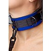 Ошейник синий Ошейник синий