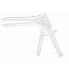 ���������������� ����������� Asylum Speculum