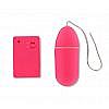   Funky Remote Egg - 