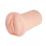 ����������� Nymph ������ ��� �������� 
� ���� ��������� �� �������� ��� ��� � ���� ��������� �� ������������� � ������ �������� ������������.