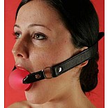 ���� ����� P43 
���� �� ������� ��������.