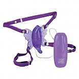   Venus Butterfly 2 
-    ,      .