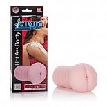 �����������-���� VIVID RAW HOT ASS BOOTY  
�����������-���� VIVID RAW HOT ASS BOOTY. 