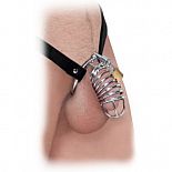 <strong>Кольцо верности Extreme Chastity Belt с фиксацией головки</strong> <br />
Если он себя плохо вёл или ты не доверяешь ему, когда тебя нет рядом - купи пояс целомудрия и верности из коллекции Fetish Fantasy Extreme. <div class="charTableblock"> </div> Кольцо верности Extreme Chastity Belt с фиксацией головки
Если он себя плохо вёл или ты не доверяешь ему, когда тебя нет рядом - купи пояс целомудрия и верности из коллекции Fetish Fantasy Extreme.
