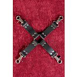 ������ ������� ��������� ����������  
���������� ��������� 4-���������.