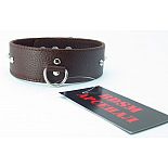 ������� �� ���� ����������  55015ars 
