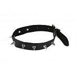 ����� ������� � ������ 
��������� ��������� ���� � ����������� ������� ��� �������! �������� ���� � ������ �������� ������������ ���� ����.