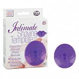 ���������� ������� ��� �������� �������  
������� ������ ��������� � ����� ��������, �� ��� �� ���� �������� �������? ������ ��������� �� ��� ������� ����� � ��������! ����������� ������� ����������� ����� �������! ������������ ������� ����� ������! �� ����� 4 ��������� - ��������, �����������, ��������� � �tpe�����.