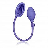 <strong>Фиолетовая помпа для клитора Silicone Clitoral Pump </strong> <br />
Помпа Silicone Clitoral Pump для клитора. <div class="charTableblock"> </div> Фиолетовая помпа для клитора Silicone Clitoral Pump
Помпа Silicone Clitoral Pump для клитора.
