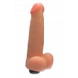 ������� ������������ ����������� � �������� - 21 ��. 
������������ ��������� �����.