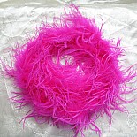 ��� ������ � ������� ������� Kameli 1906 
��� ������ � ������� �������