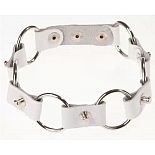 ����� ������� � ��������� 
���������� �� ����������� ����.