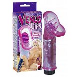 ��������� �������� � ���������  Venus Lips  
����������� ��������� �������� ��� ����������� � ������������ ���������� �� ���������� ��������.