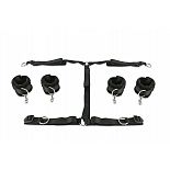 ����� ������ ���������� ��� ��� � ��� � ������ ���������� 
������������ ������ ��������, ��������� ��� ��������.