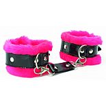 ������� ��������� � ����� BDSM Light 
����� � ����� ��������� - ���������.