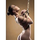    Shibari Rope 10m Brown SH-OU045BRN 
"   .