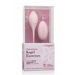 ������������� INSPIRE VIB RMT KEGEL EXERCISR 
�����-�������� Inspire Kegel Exerciser �������� ���������, �������� � ������������ �������� ��� �������� ������ ����.