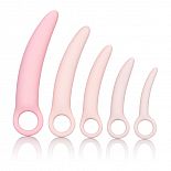 ����� �� 5 ��������������� ������� ������� Sili Dilator 5 P 
����� ����������� ���������� ��� �������������� ������������� ������ ���������.