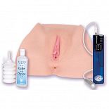 <strong>Реалистичный слепок Devon </strong> <br />
Два в одном вагина и анус из супер реалистичного материала ABS, TPE, UR3. <div class="charTableblock"> </div> Реалистичный слепок Devon
Два в одном вагина и анус из супер реалистичного материала ABS, TPE, UR3.