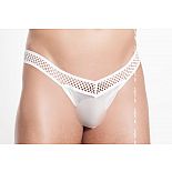    Pascal 
   Pascal        .