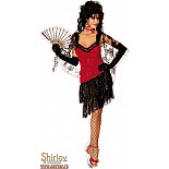 ��������� �������� 
������ �� ����������� ��������� �������� ������� � ���������.