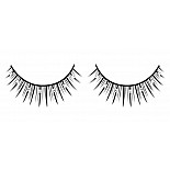 ������� ������ � �����������  �������� 
������������ ������ ������� ������ ������ � ������������ ���������� � ������ �����������.