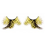 ������� �����  ����� 
������� ������� ������� �� ������ ������������������ ������ ������ ��������� ������� �����, ������������, � ������������� �������� �������.