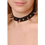 ������� � ������ ������ 
���������� �� ����������� ���� � ��������� ����������.