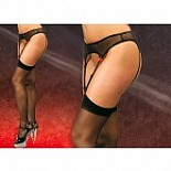 �������� ���� � ����� 
�������� ���� � ����� ������� ����� � �������� ���������.