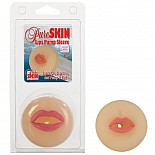 ������� ��� ����� - ������� ����� 1047-10 CD SE 
������� ��� ����� ��������� ������� ����� � ���� ������ � �������� �������.