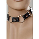 ������� ������ 
���������� �� ����������� ����.