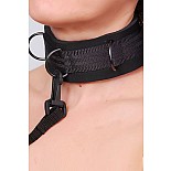 ������� ������ 
������� �������� �� ������������ ��������� � ������� ��������� ��������, ��������������� ����������� ���������� (��������� � ������ Soft-bandage), ���������� ��������� ��� ����������.