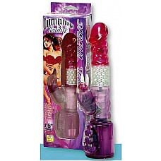 -  Magic Jumping Rabbit 
     .