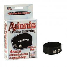 Adonis Leather Collection� - Apollo� 
