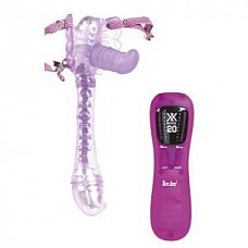    DAZZLING DRAGON FLY - 14 . 
     ,         .