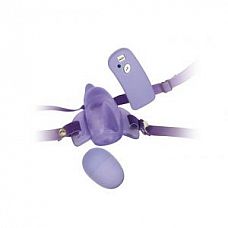   Sea Of Love Dolphin    
       ,   ,   .