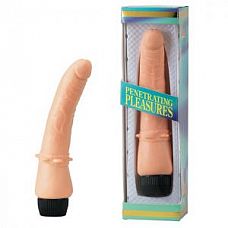 �������� �������� � �������� �� ��������� VINYL P-SHAPE - 20 ��. 
�������� �������� � �������� �� ��������� VINYL P-SHAPE