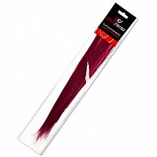 ������� Clip-In ������ ��������� ����� 
�������� ���� �������� ���� � ����� ������� �� ��������� Erotic Fantasy! ���������� �� � ������ ������ ��� ������� �������! ������� ����� �� ������������ ����������� ������������� ����� ������ ��������� �����.