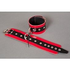 <strong>Красные лакированные наручники с клёпками</strong> <br />
Узкие наручники ручной работы - это ваш помощник в реализации самых необузданных БДСМ-фантазий.<div class="charTableblock"><div><span>Материал</span>: кожа</div><div><span>Цвет</span>: красный, розовый</div><div><span>Производитель</span>: Подиум, Россия</div></div> Красные лакированные наручники с клёпками
Узкие наручники ручной работы - это ваш помощник в реализации самых необузданных БДСМ-фантазий.