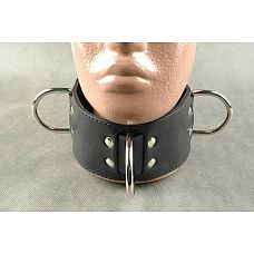 <strong>Широкий подшитый ошейник </strong> <br />
Застежка - ремешок с пряжкой; с 3 вертикальными D-кольцами, подшитый.<div class="charTableblock"><div><span>Материал</span>: кожа</div><div><span>Цвет</span>: черный</div><div><span>Производитель</span>: Beastly, Россия</div></div> Широкий подшитый ошейник
Застежка - ремешок с пряжкой; с 3 вертикальными D-кольцами, подшитый.