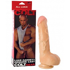    
   -     .  22 .     .   .      .