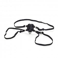    Little Black Heart 
     .