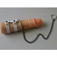 ����� ������� �� ����� � ����� ��������� 
���������� �� ����������� ����.